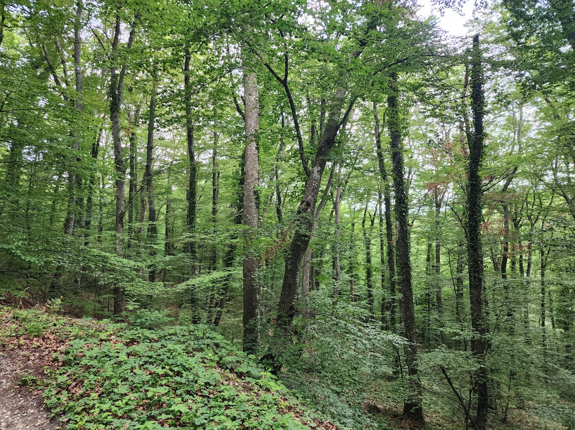 Agriculture & food processing